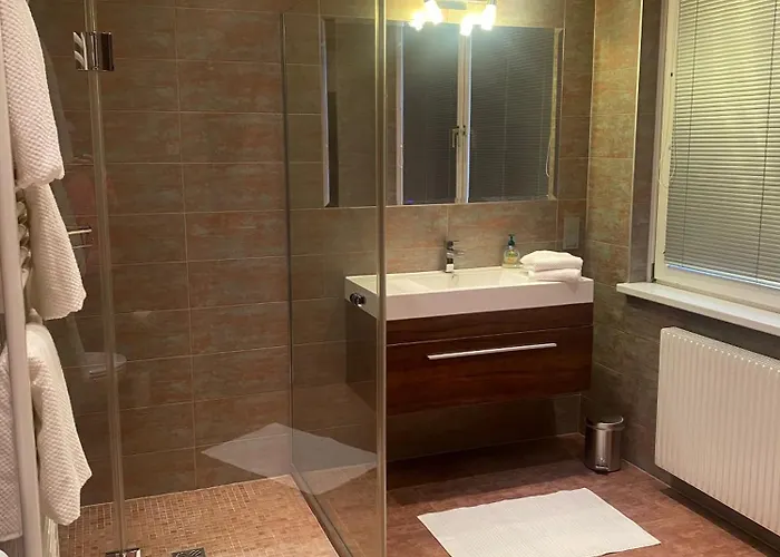 1st District With Balcony And Aircon Viena