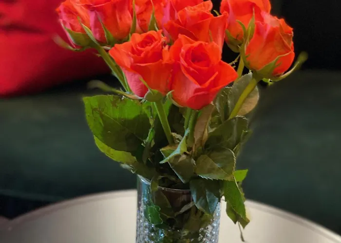 1st District With Balcony And Aircon Apartman